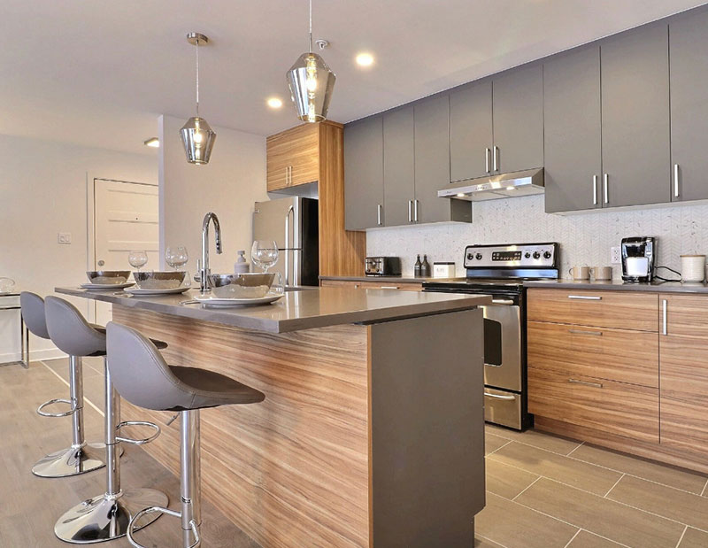 constructions-dynaplex-cuisine-moderne