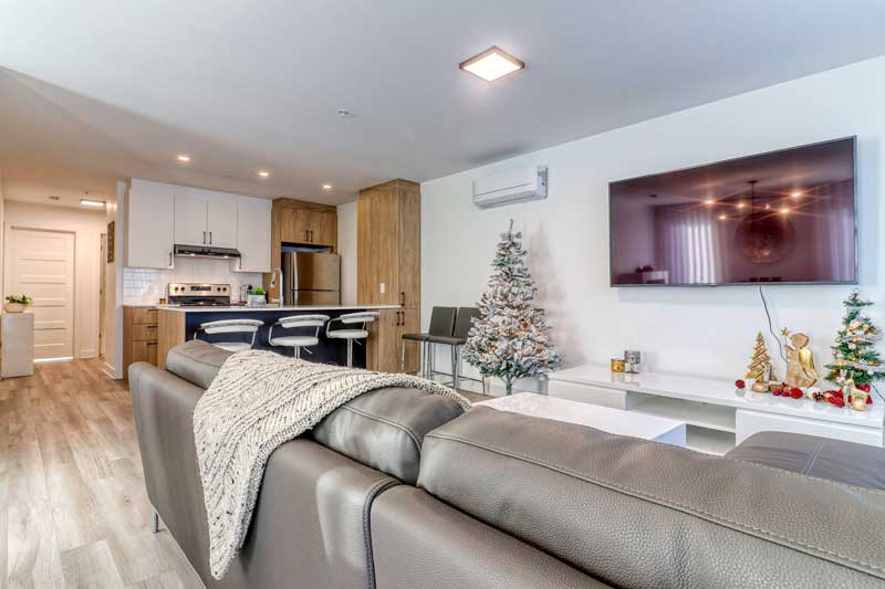 salon-projet-condo-qg95